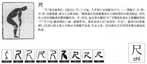 尺 字|汉字“尺”的起源与演变（源流）